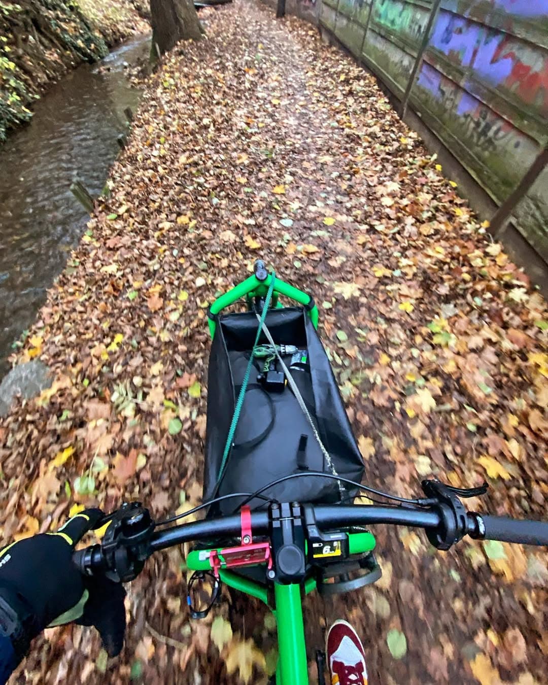 Cargo bike pe alee cu frunze de toamnă