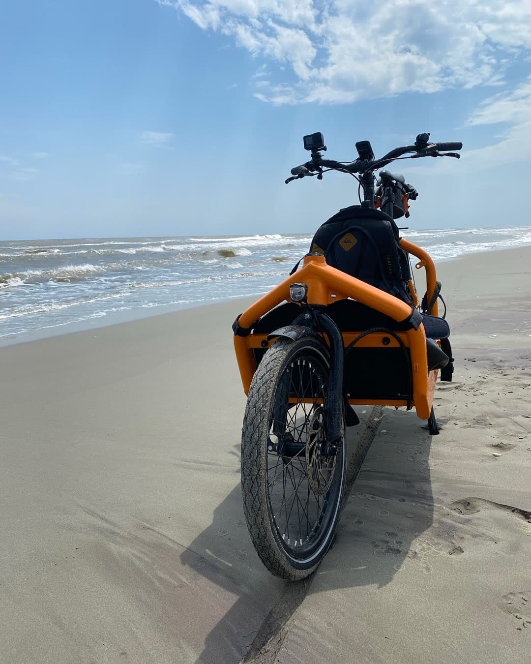 Bullitt în Delta Dunării — Anonimul Fest 2022
